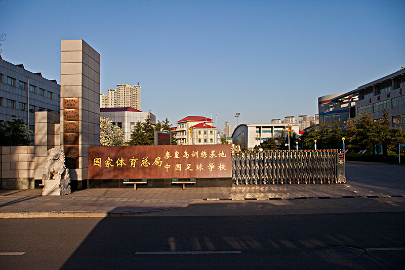 队徽
